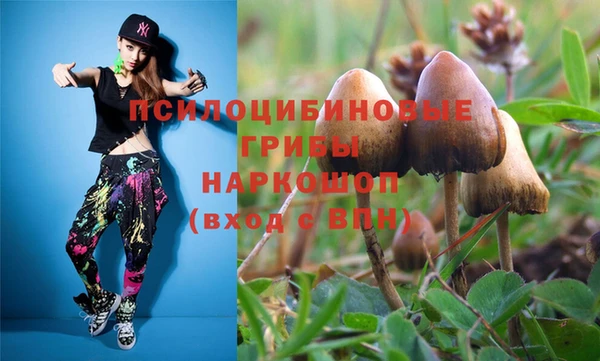 кокс Алексеевка