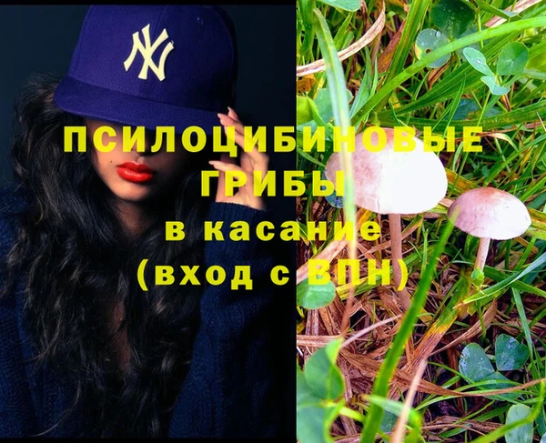 кокс Алексеевка