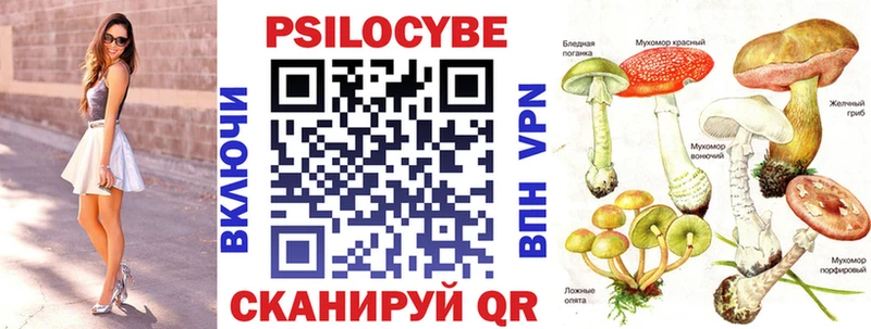 Псилоцибиновые грибы прущие грибы  Конаково 